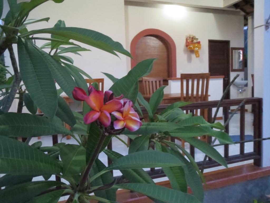 Mesari Homestay & Warung Amed Стая снимка